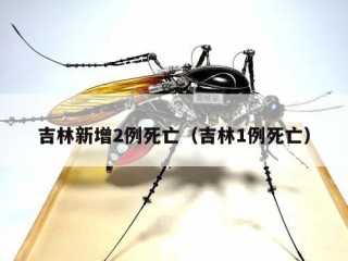吉林新增2例死亡（吉林1例死亡）