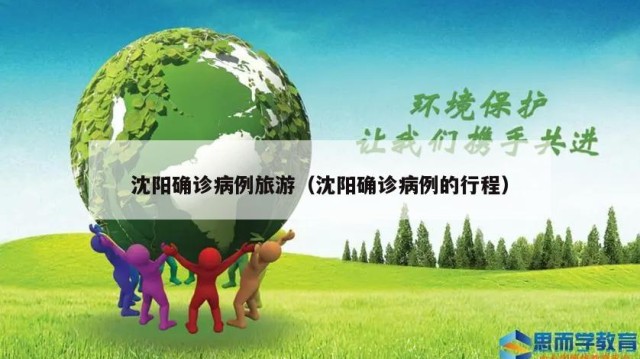 沈阳确诊病例旅游（沈阳确诊病例的行程）