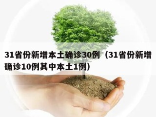 31省份新增本土确诊30例（31省份新增确诊10例其中本土1例）