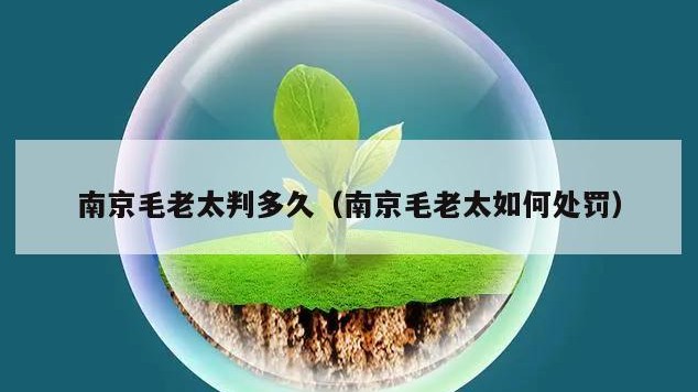 南京毛老太判多久（南京毛老太如何处罚）
