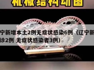 辽宁新增本土2例无症状感染6例（辽宁新增确诊2例 无症状感染者3例）