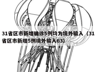 31省区市新增确诊5例均为境外输入（31省区市新增5例境外输入63）