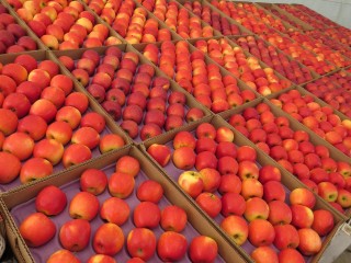 南国彩票论坛绿色版V15.84.186.266苹果版本-好用
