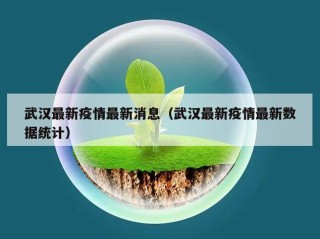武汉最新疫情最新消息（武汉最新疫情最新数据统计）