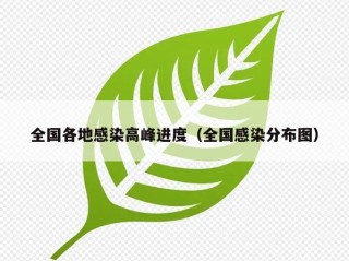 全国各地感染高峰进度（全国感染分布图）